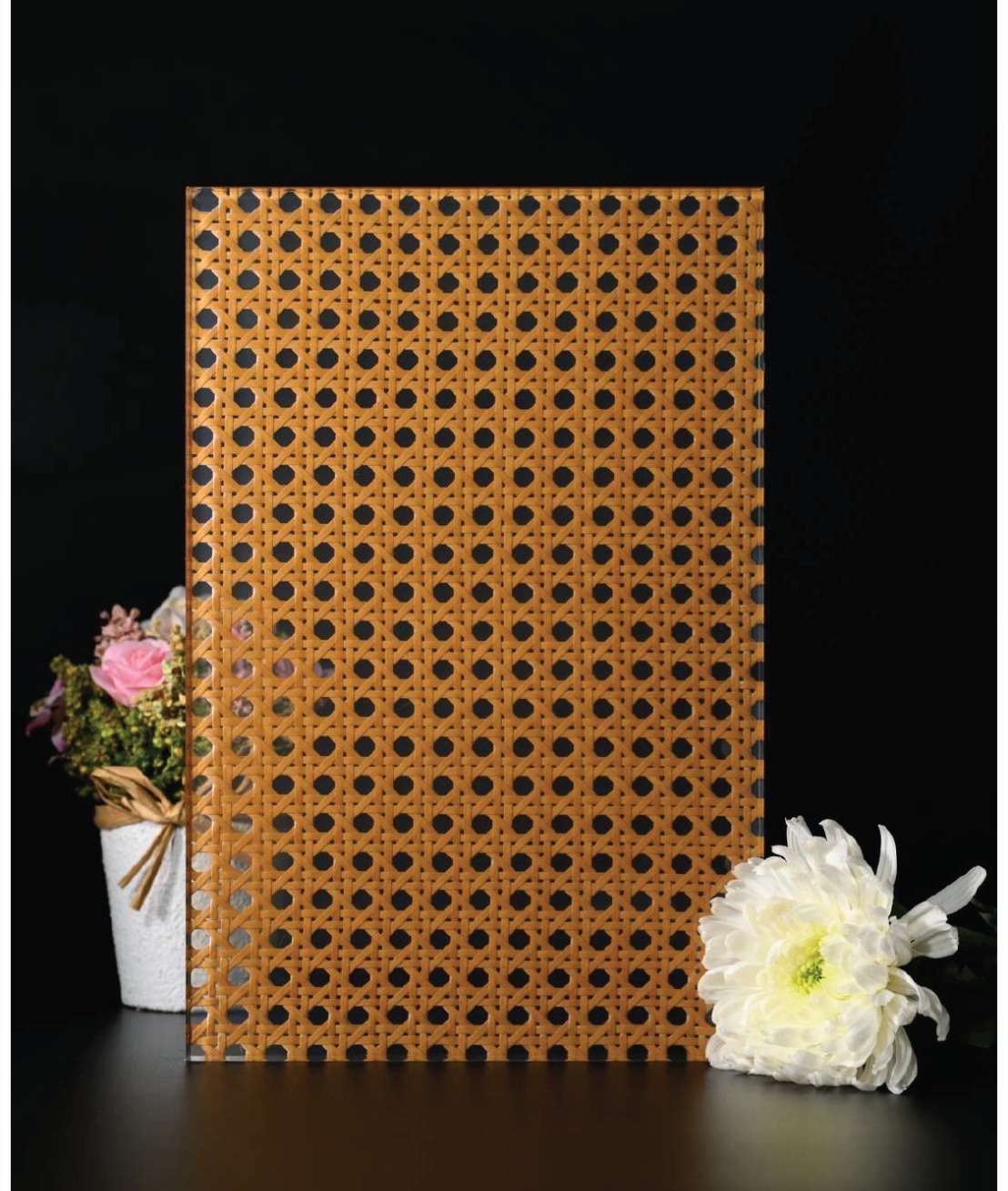 WhatsApp Image 2025-11-14 at 3.41.41 PM