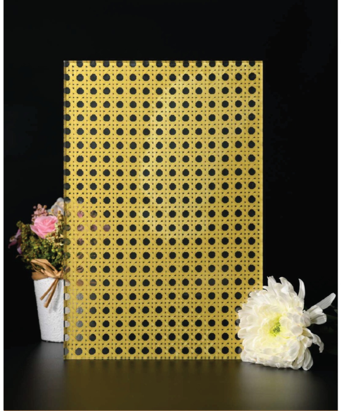 WhatsApp Image 2025-11-14 at 5.40.53 PM