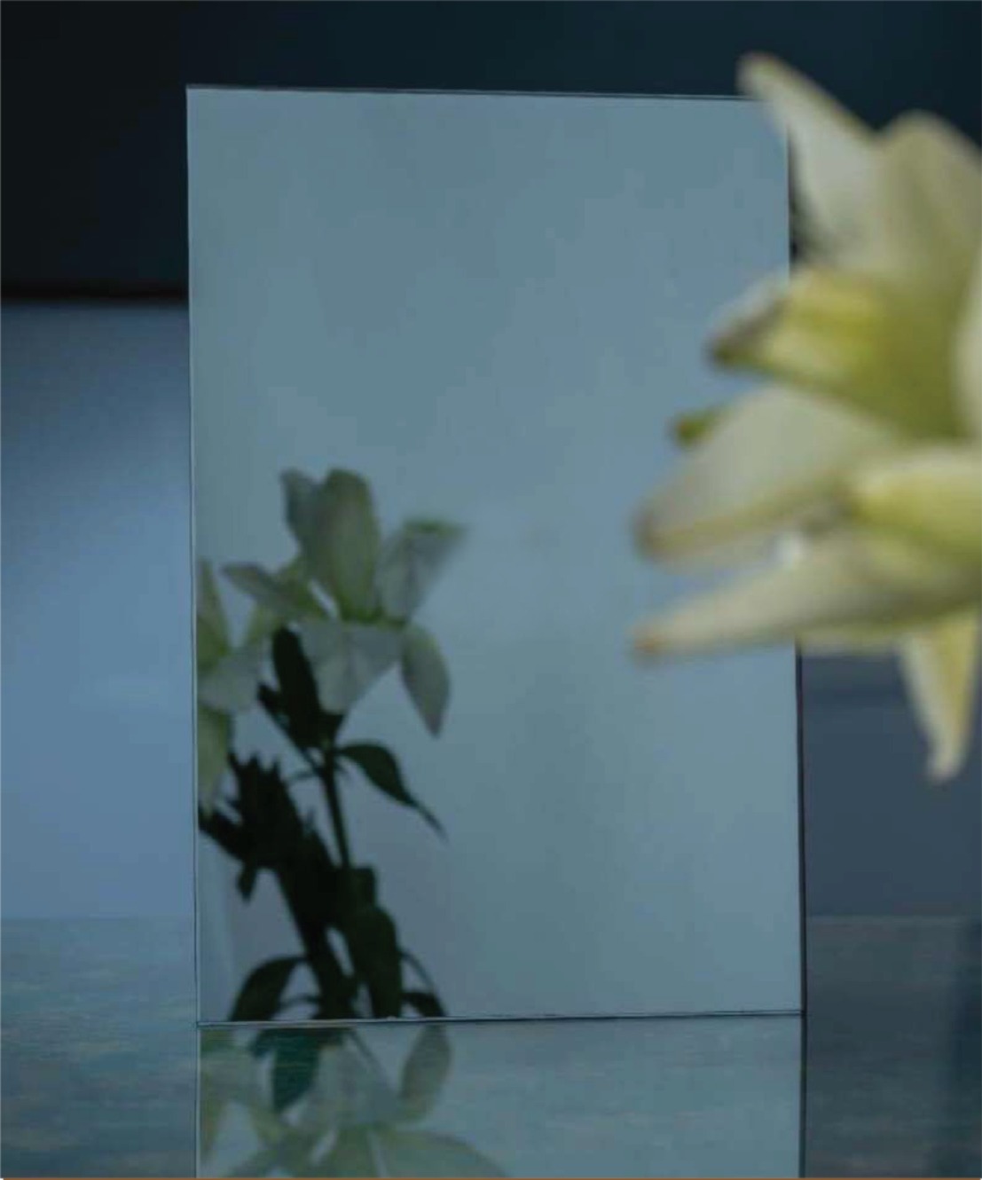 WhatsApp Image 2025-11-15 at 12.06.37 PM